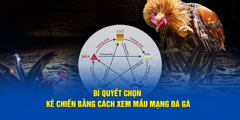 Chi tiết cách xem kê qua màu mắt