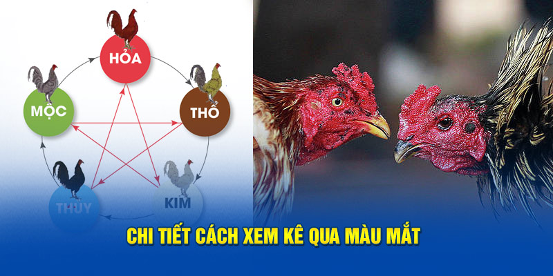 Chi tiết cách xem kê qua màu mắt