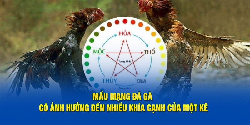 Mầu mạng đá gà ảnh hưởng đến nhiều khía cạnh của một con