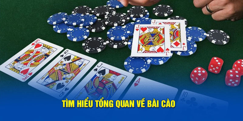 Tìm hiểu tổng quan về bài cào